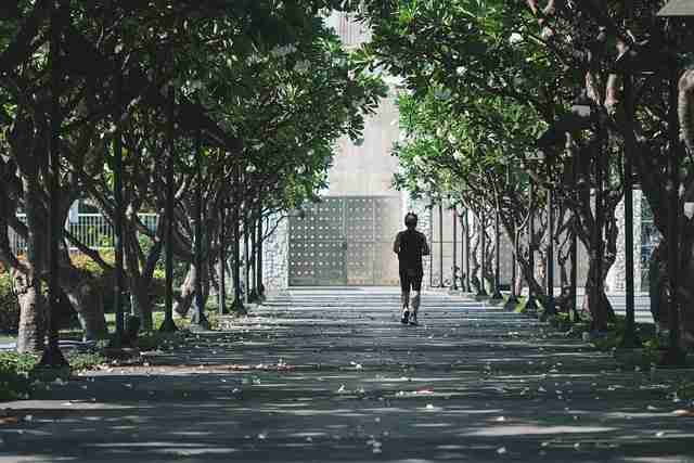 一文读懂海角网页版使用心得，未来趋势懒人包